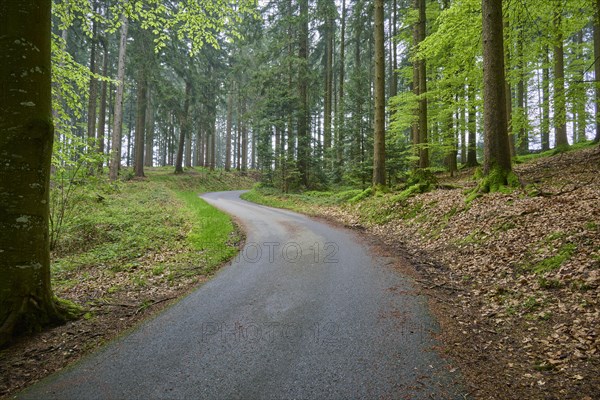 A winding road meanders through a quiet