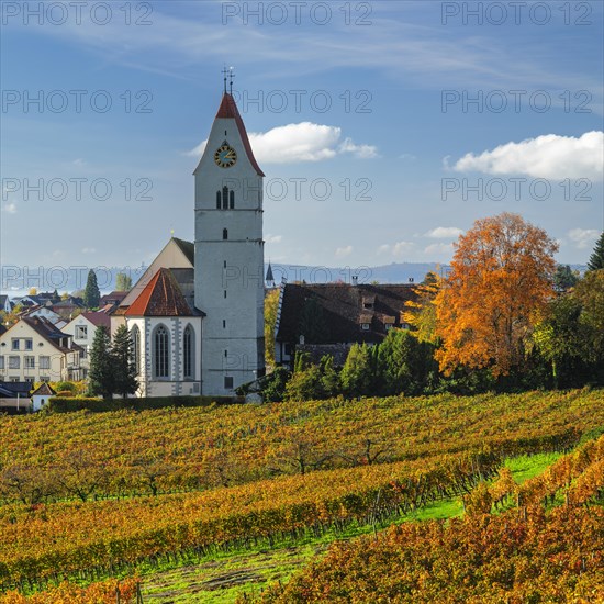 Hagnau am Bodensee