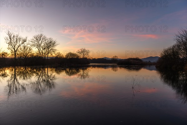 Autumn landscape with trees reflected in the water at sunset. Autumn landscape. Bas-Rhin