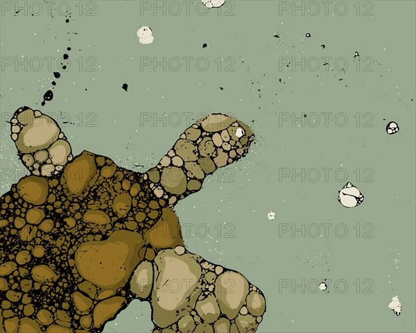 Sea turtle grunge vector illustration