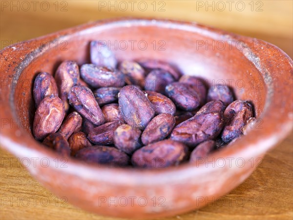 Roasted cocoa beans