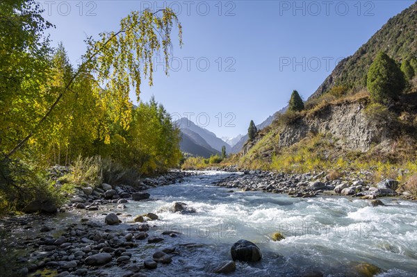 Mountain stream Ala Archa flows through the Ala Archa valley