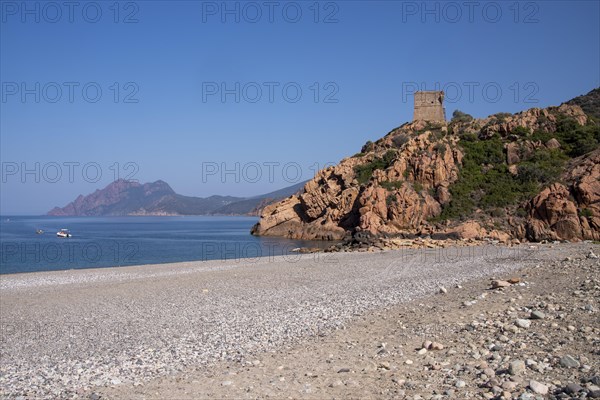 Genoese tower above the beach of Porto