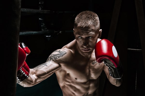 Professional boxer hits the bag against the background of the ring. Side view. The concept of sport and classic boxing.