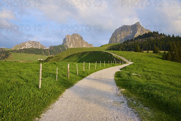 A peaceful path leads through a green meadow into a mountainous landscape under a cloudy blue sky