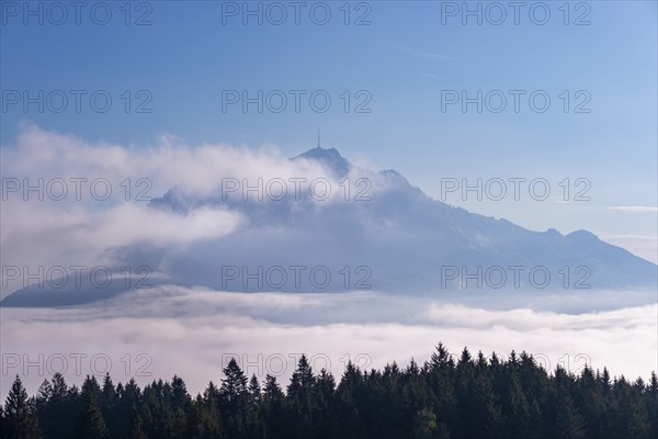 View from the Wittelsbacher Hoehe to the Gruenten