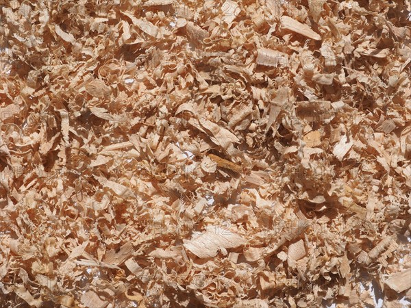 Sawdust wood dust