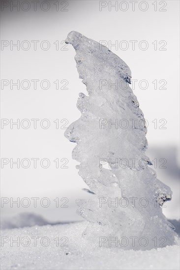 Sculptures created by ice