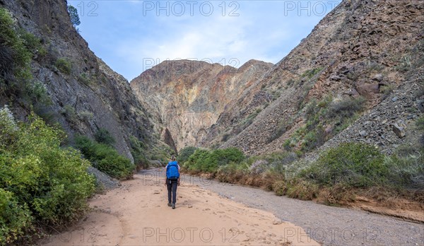 Climber in a canyon with a dry stream bed