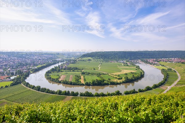 Neckar loop near Mundelsheim