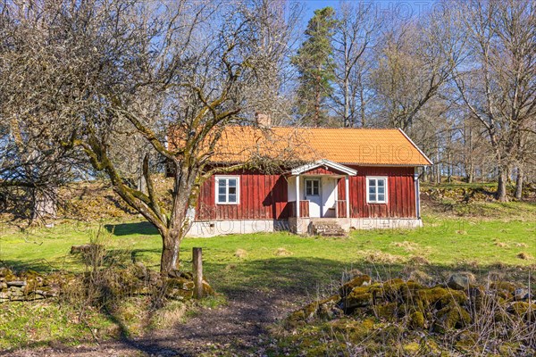 Old abandoned idyllic red cottage by the forest edge on a sunny spring day