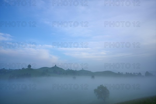 Green moraine hills landscape with meadows and lime trees with morning fog and cloudy sky