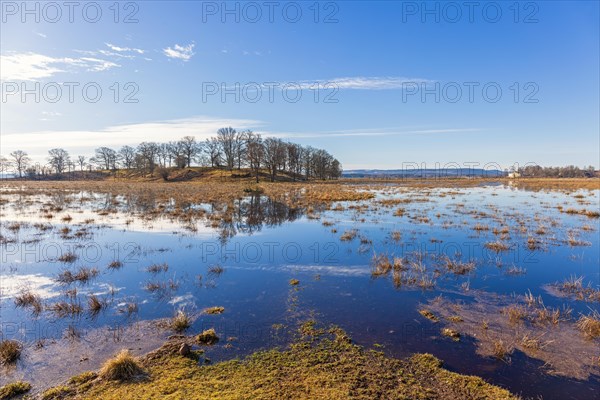 Flooded meadows by a wetland on a sunny spring day