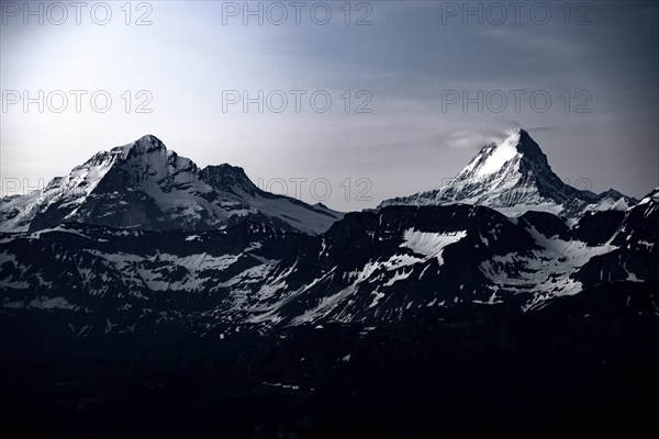 Schreckhorn in the morning light