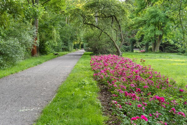 Park an der Saale