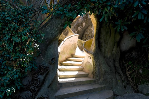 Staircase in the crazy house of Dalat