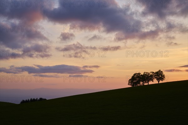 Wind beeches at sunset with cloudy sky in spring
