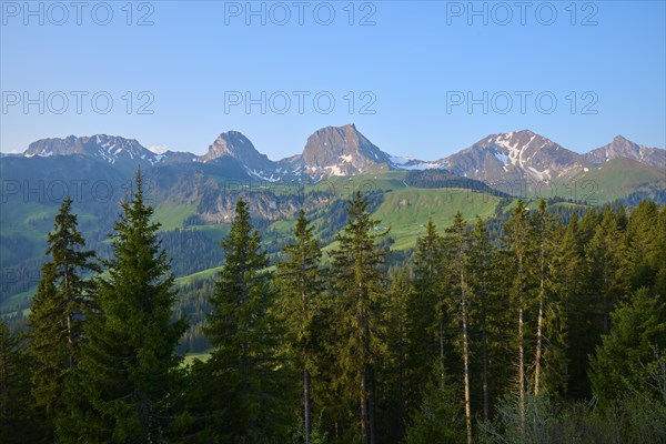 View of an idyllic mountain landscape with green forests and snow-capped peaks under a clear blue sky