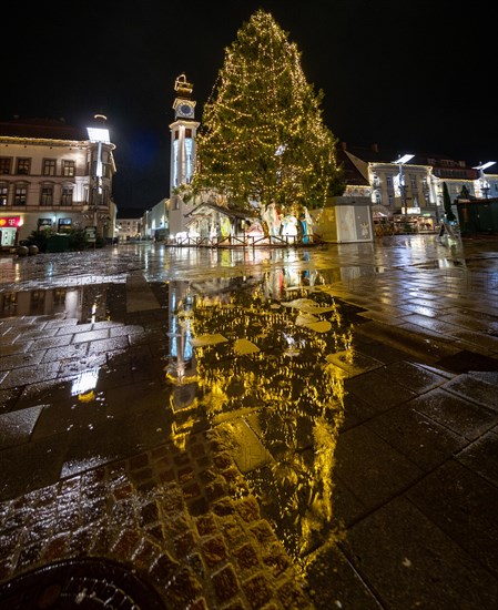 Illuminated Christmas tree