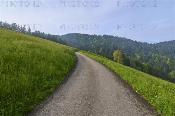 Sunny country road leads between a meadow and a forest in a hilly landscape