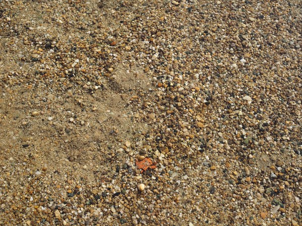 Brown pebble texture background