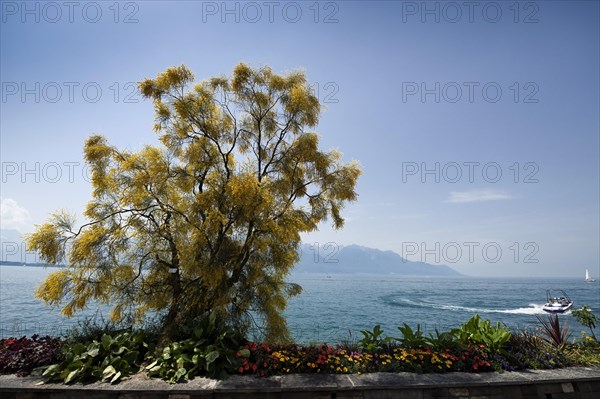 Lake Geneva promenade