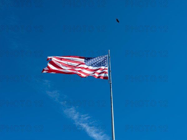 American flag