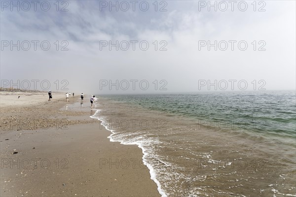 Misty mood