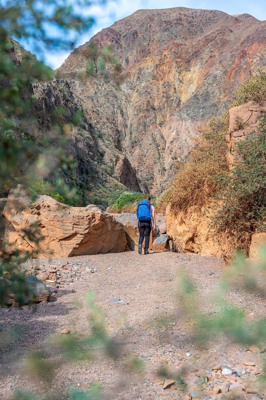 Climber in a canyon with a dry stream bed - Photo12-imageBROKER-Moritz Wolf