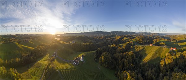 Aerial view of vineyards in the morning light