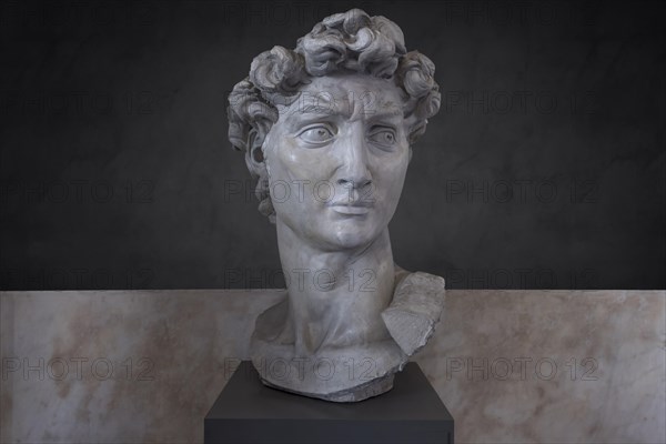 Bust modelled on the original in marble by Michelangelo by an unknown 19th century artist