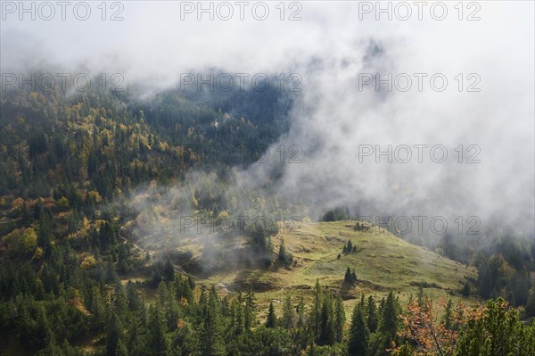 Mountain landscape