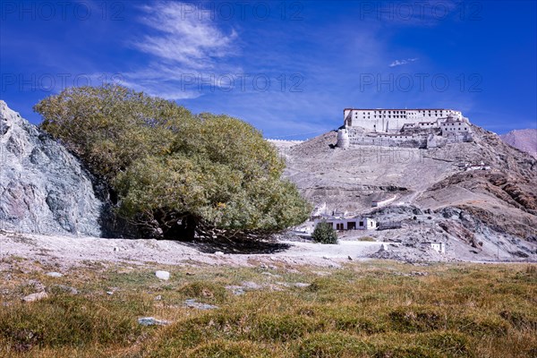 Hanle Monastery