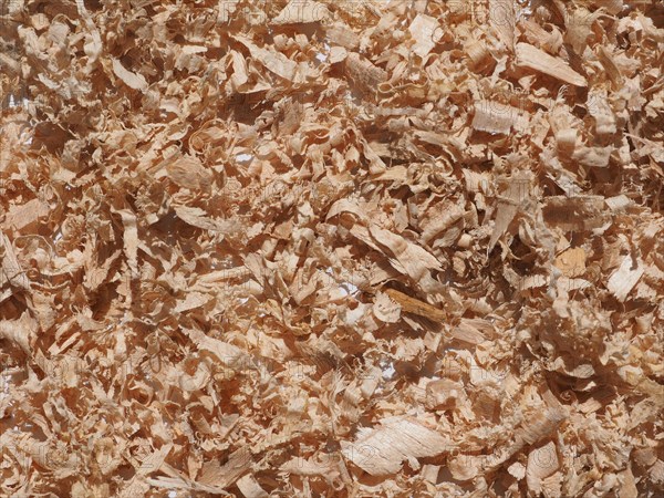 Sawdust wood dust