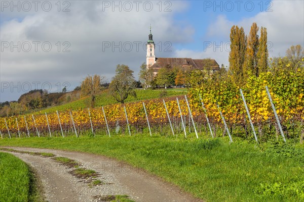 Birnau pilgrimage church and monastery