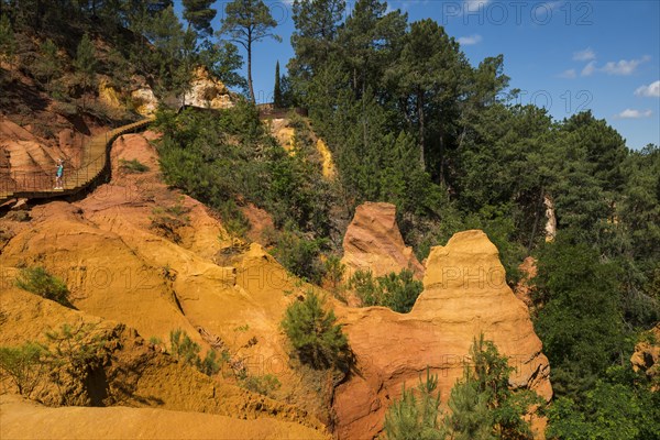 Red rocks