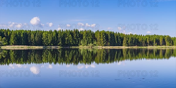 Panorama at Schmutterweiher