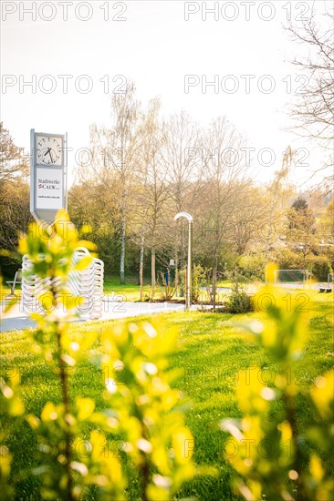 Parking meter and sign in public green area with trees in the background