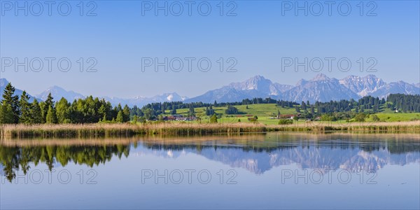 Panorama at Schmutterweiher