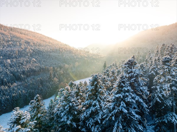 The setting sun behind a snow-covered mountain forest