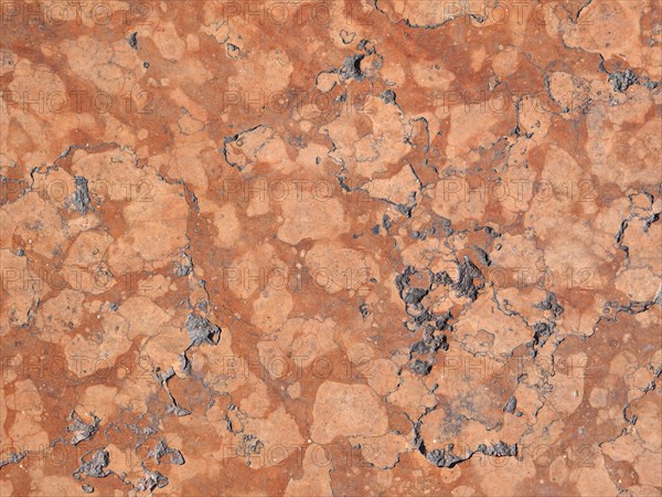 Red marble texture background