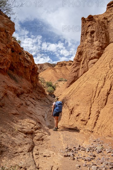 Climber in a canyon with a dry stream bed