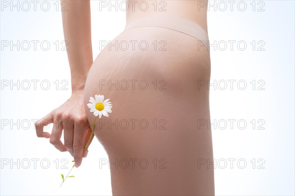 Image of female thighs with stretch marks on the skin. Chamomile flower. Prevention of treatment with natural ointments. Organic medical products.