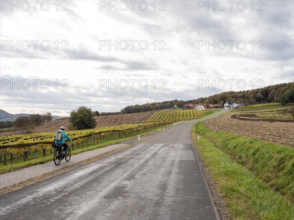 Cyclist