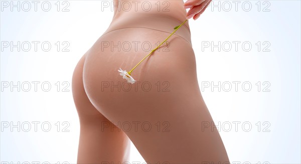 Image of female thighs with stretch marks on the skin. Chamomile flower. Prevention of treatment with natural ointments. Organic medical products.
