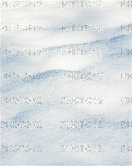 Fine structure of freshly fallen snow