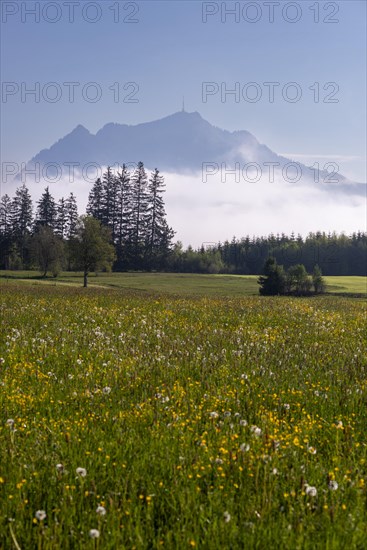 View from the Wittelsbacher Hoehe to the Gruenten