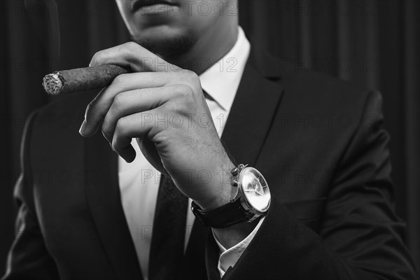 Portrait of a stylish man in a suit with a cigar. Business concept.