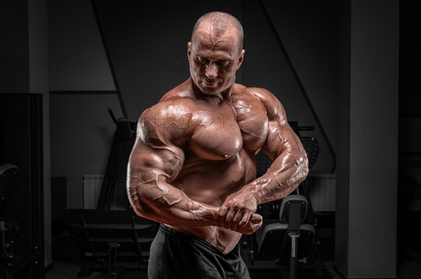 Professional weightlifter posing in the gym. Classic bodybuilding.