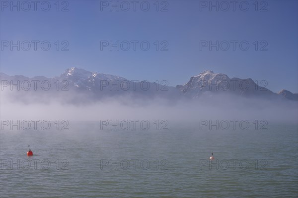 Morning atmosphere at Forggensee